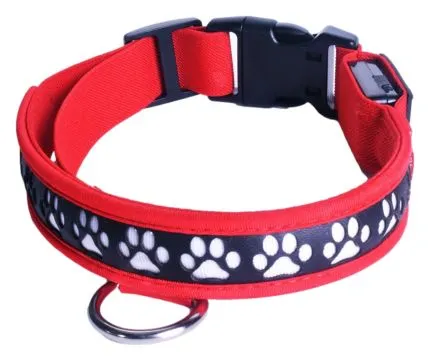 Collar with LED lights