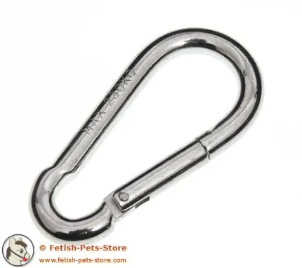 Karabiner silber