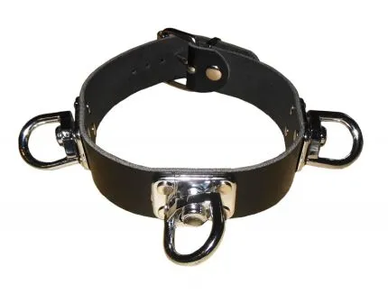 Collar with Rotating Bezel