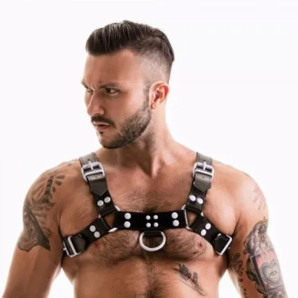 H-Front Harness bunte Nieten