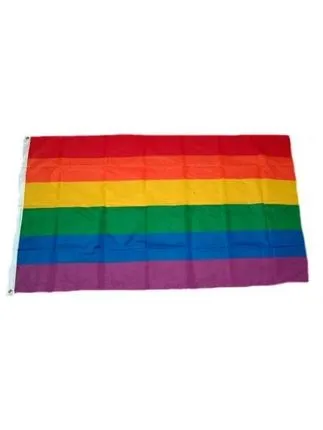 Gay Pride Rainbow Flag